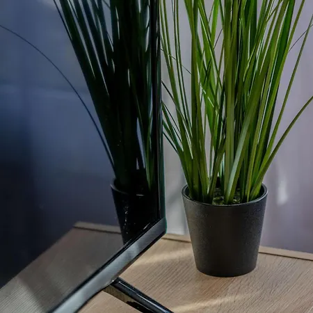 Sunset Kiwi Апартаменты