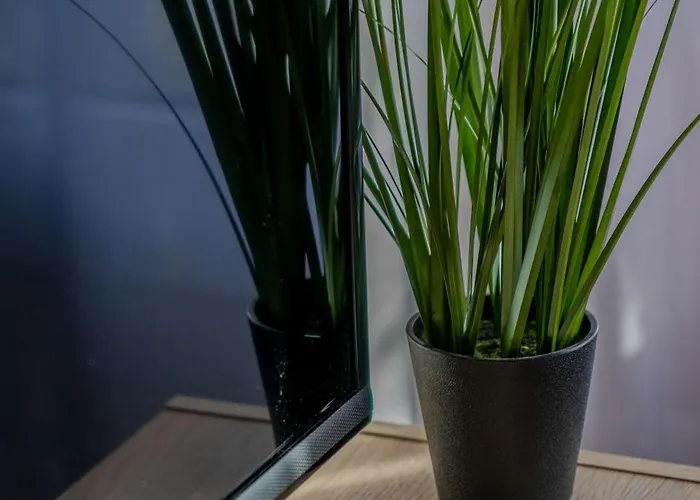 Sunset Kiwi Apartment